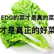 _自闭的EDG粉丝