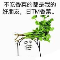 真的不想理你i