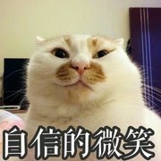 ♚猫狗大旗举起来