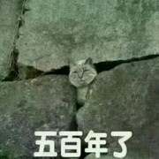 电竞的哥