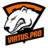 VP