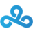 C9