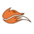 Echo Fox