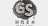 GS