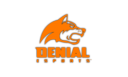 Denial