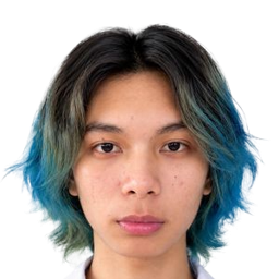 科尔特斯·萨尔姆·大卫